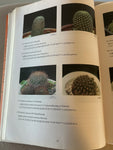 Photo Album of Succulents In Color Vol 2 by Harry Chi-King