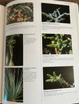 Succulents II and Cacti: The Illustrated Dictionary | Two Volume Set