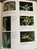 Succulents II and Cacti: The Illustrated Dictionary | Two Volume Set