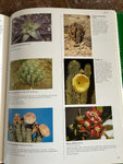 Succulents II and Cacti: The Illustrated Dictionary | Two Volume Set