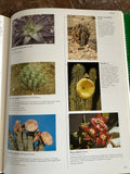 Succulents II and Cacti: The Illustrated Dictionary | Two Volume Set