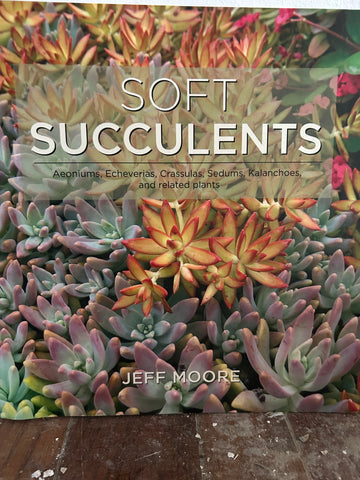 Soft Succulents by Jeff Moore