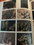 Haworthia and Astroloba: A Collectors Guide by John Pilbeam | RARE Book