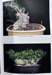 Pachyforms II | Rare Bonsai Succulent Book | Phillipe de Vosjoli & Rudy Lime