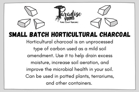 Horticultural Charcoal- Biochar- 1 Gallon Bag Soil Amendment - Paradise Found Nursery